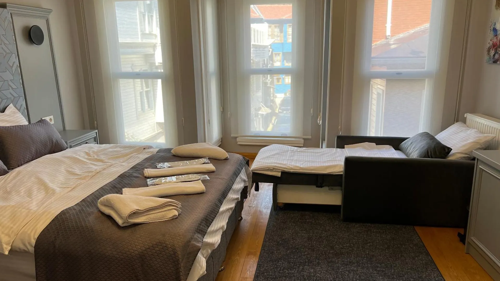 Ck Sultanahmet Hotel 伊斯坦布尔 0*,  土耳其